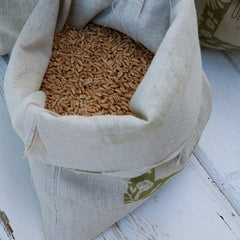 Collection image for: Bulk Grain