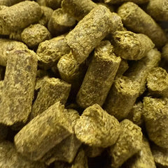 Collection image for: Hops 100gm