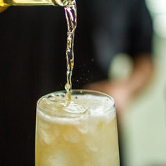 Collection image for: Ginger Beer, Seltzer, Lemonade, Hop Water