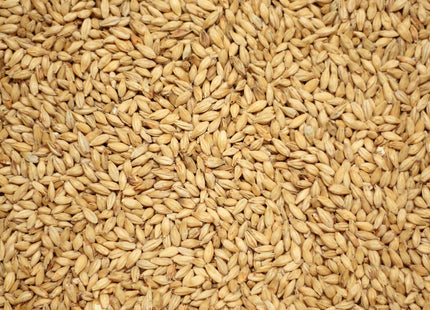 Acidulated Malt per kg
