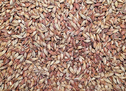 Amber Malt per kg
