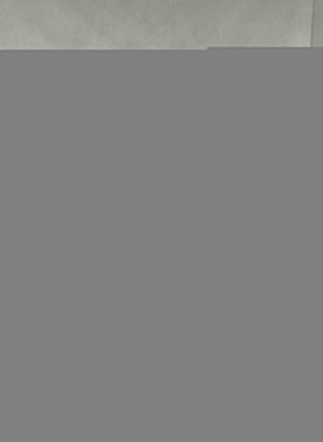 Sabro Sparkling Hop Water - 4 Pack