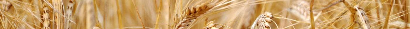 Ask The Experts: Mash Efficiency