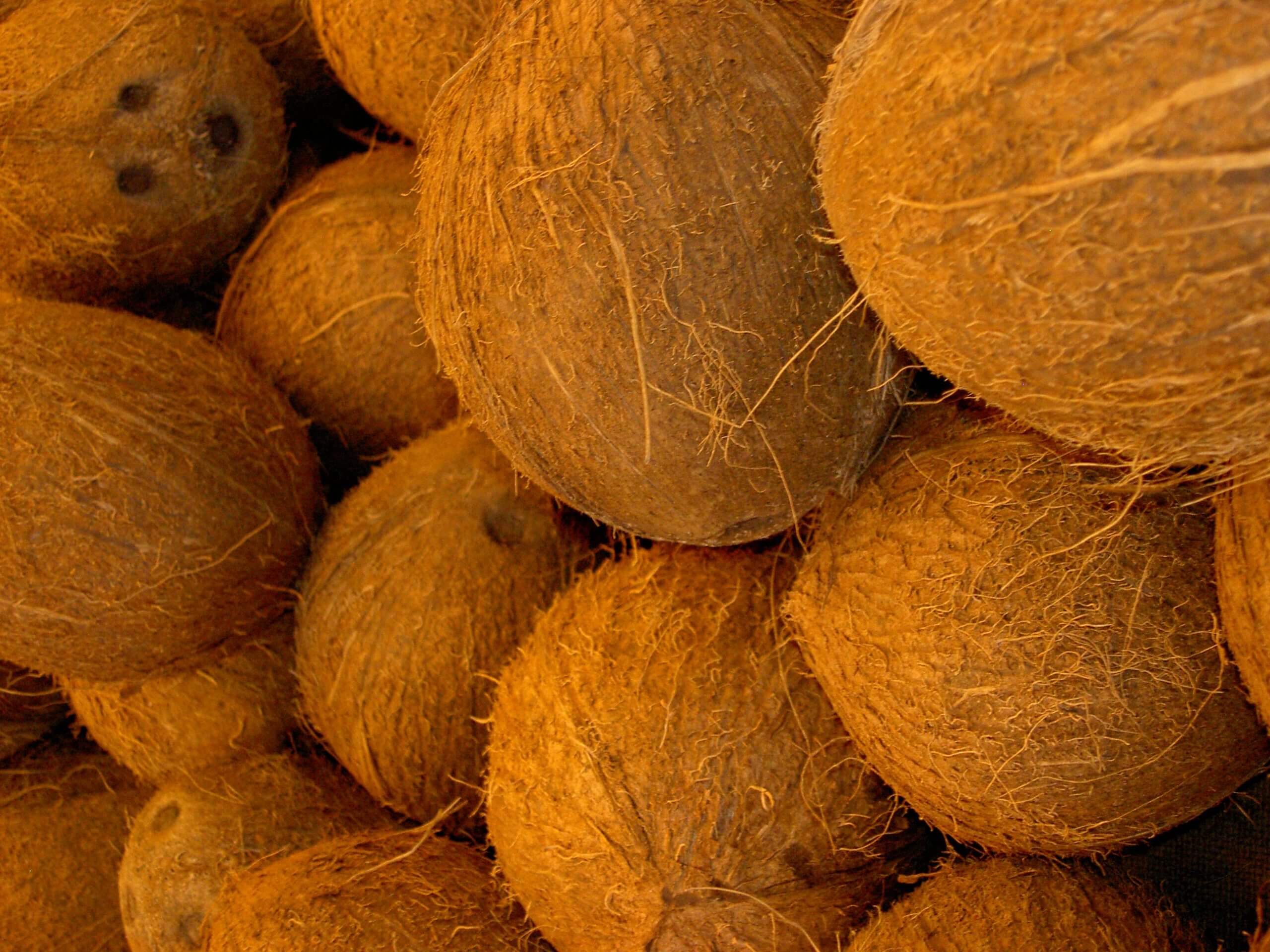 Coconut in beer – how to use it properly
