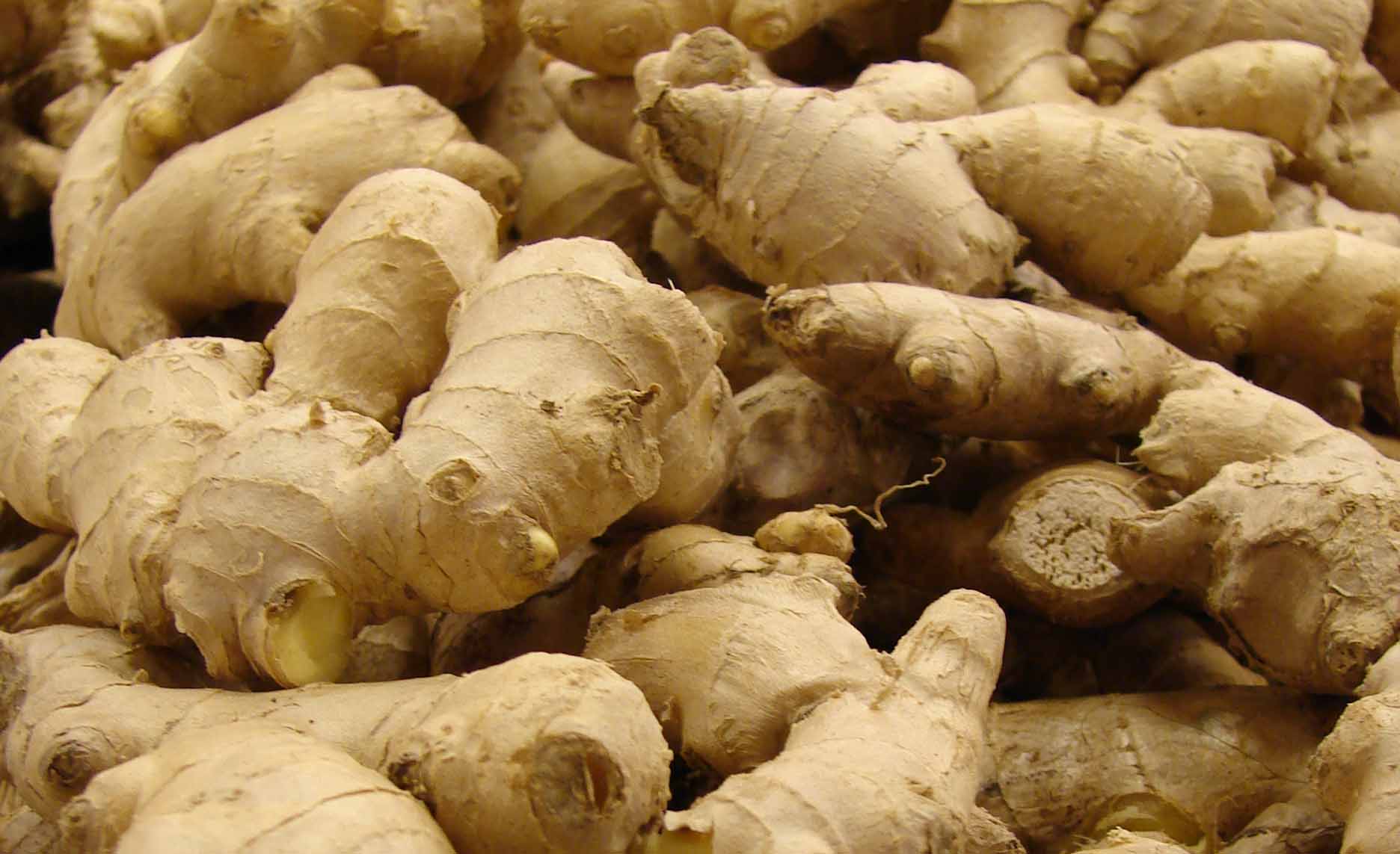 How to brew: Ginger Beer from Scratch