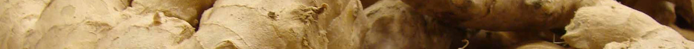 How to brew: Ginger Beer from Scratch