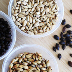 Collection image for: Grain