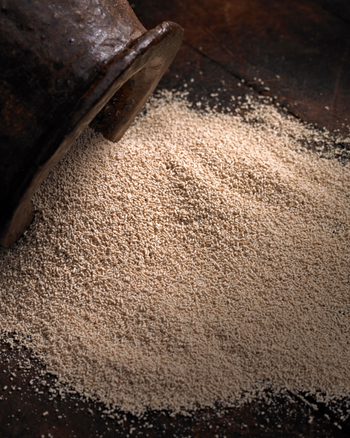 Wine Yeasts