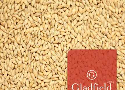 American Ale Malt per kg