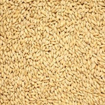 Abbey Malt