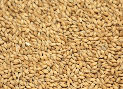 Melanoidin Malt per kg