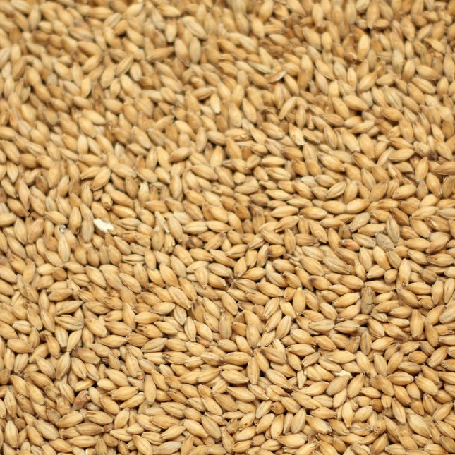Melanoidin Malt per kg