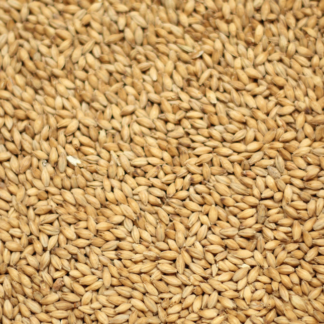 Maris Otter per kg