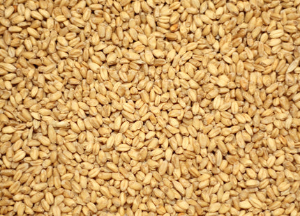 Wheat Malt per kg