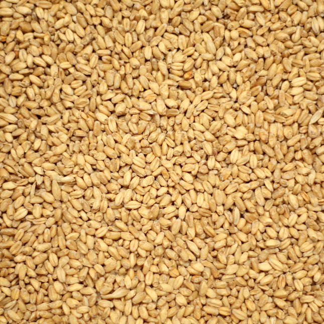 Wheat Malt per kg