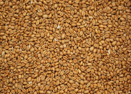 Torrefied Wheat per kg