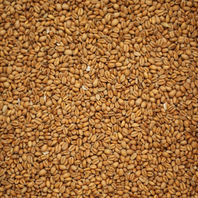 Torrefied Wheat per kg