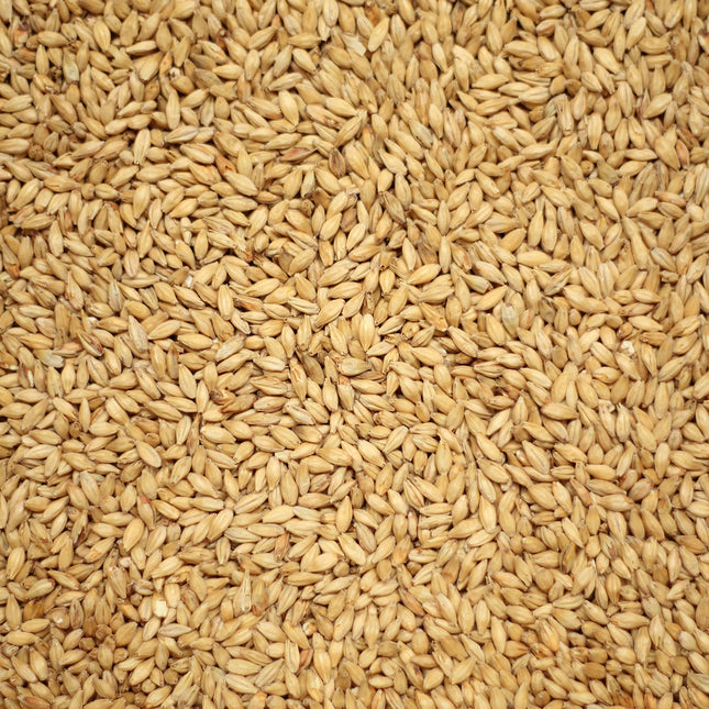 Acidulated Malt per kg