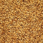 Oat Malt