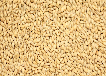 Pale Malt (2-row, ale) per kg