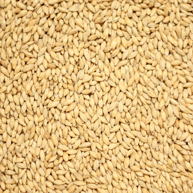 Pale Malt (2-row, ale) per kg