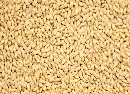 Aromatic Malt per kg