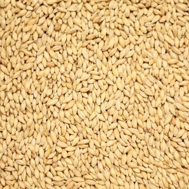 Aromatic Malt per kg