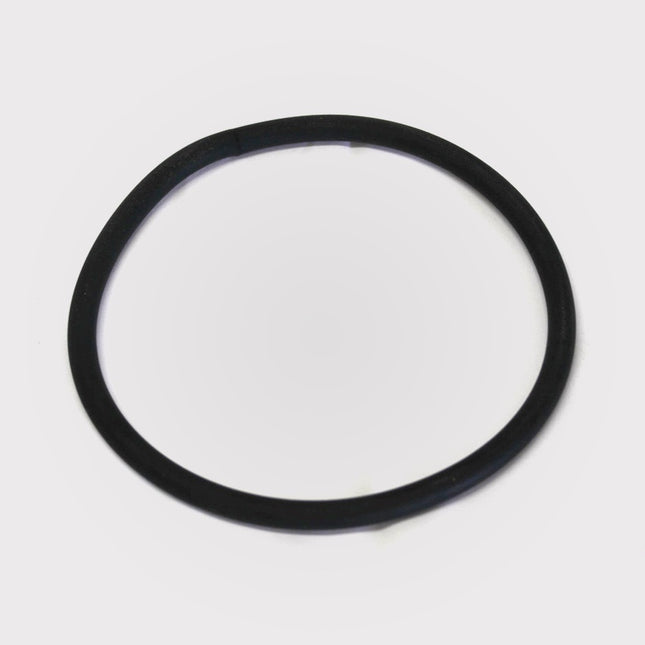Ampi Fermenter O-Ring