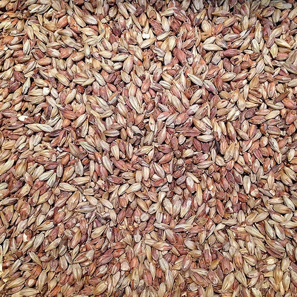 Amber Malt per kg