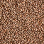 Carafa Spec Type 2