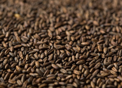 Chocolate Rye