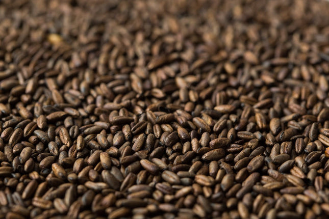 Chocolate Rye