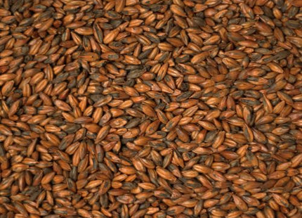 Chocolate Malt per kg