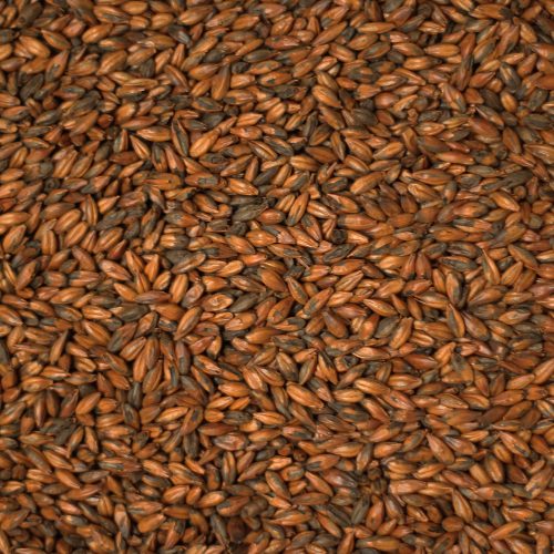 Chocolate Malt per kg