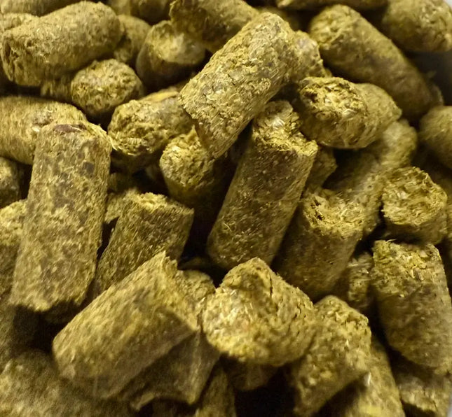 Styrian Goldings Hops - 25gm