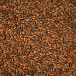 Light Chocolate Malt