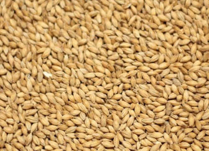 Peated Malt per kg