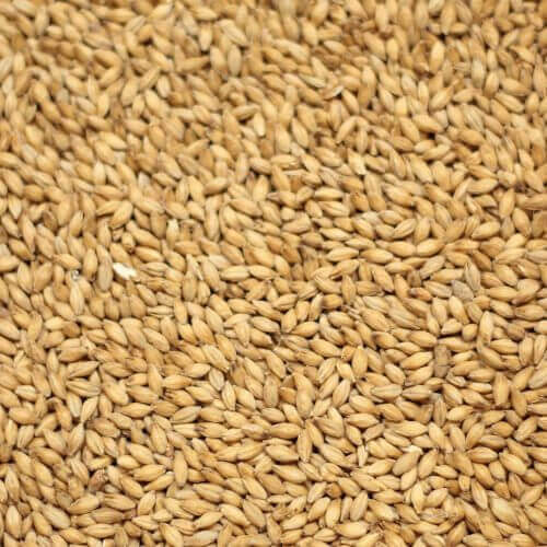 Peated Malt per kg