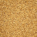 Spelt Malt