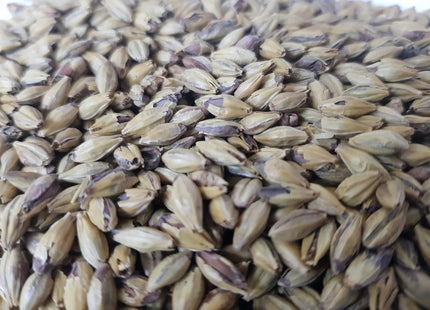 Biscuit Malt Gladfield