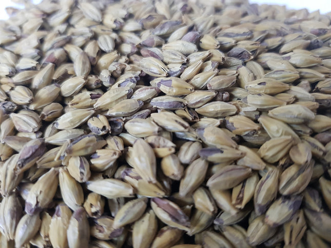 Biscuit Malt Gladfield