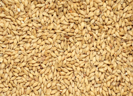 Munich per kg