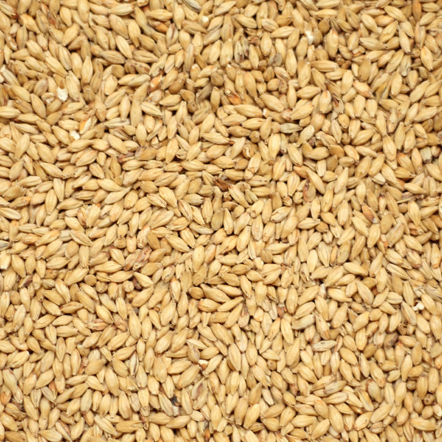 Munich per kg