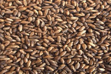 Crystal Rye