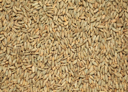 Rye Malt per kg