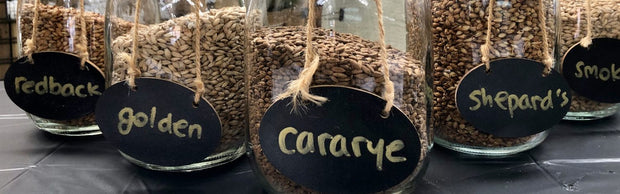 <h2>Grains</h2>