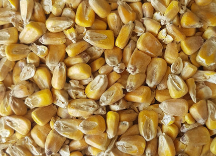 Maize Malt Gladfield