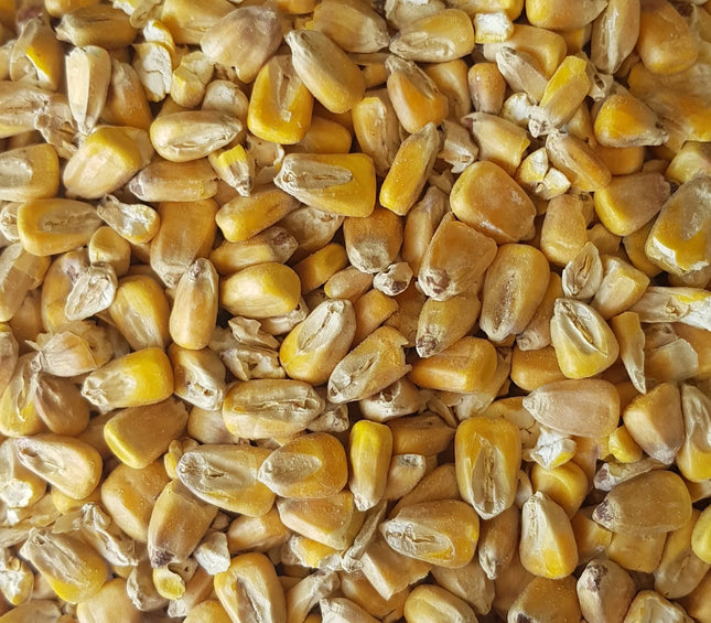 Maize Malt Gladfield