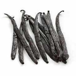 Vanilla Bean - Qty 1